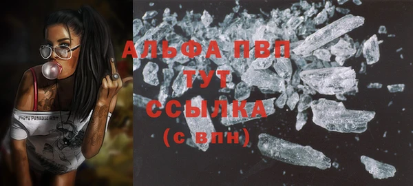 винт Аркадак