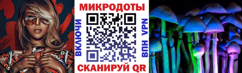 где купить   Заинск  Галлюциногенные грибы Psilocybine cubensis 
